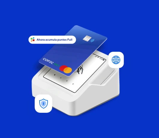 Paying with the prepaid card